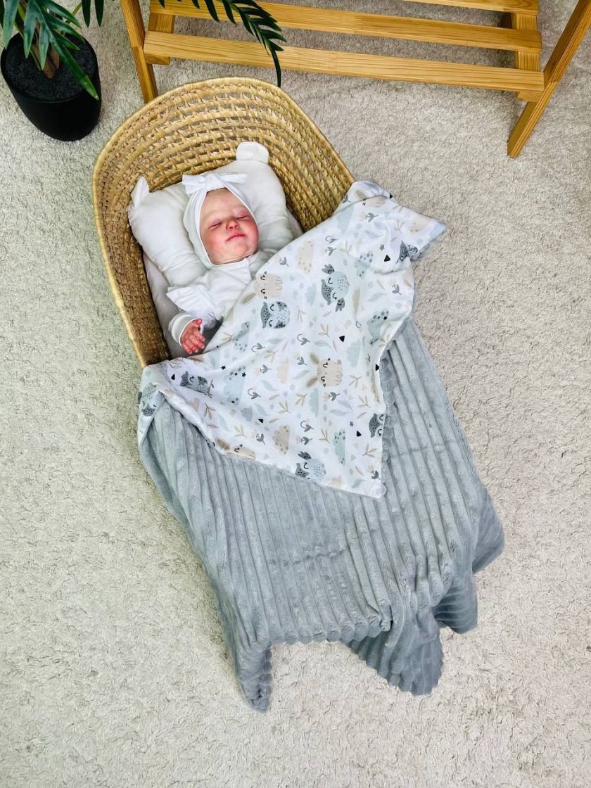 ❤ Плед в пологовий, мінкі плюш, без утеплювача, 100см на 80см. Колір, принт - Плюш смужка сірий, совенята (#21816225) ✓ Anna Kon