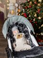 ❤ Зимовий конверт у візочок Bair Arctic від 0 до 4 років. Колір - Black noire. (#5632898987) ✓ Anna Konvert ❤ Зимовий конверт у візочок Bair Arctic від 0 до 4 років. Колір - Black noire. (#5632898987) ✓ Anna Konvert