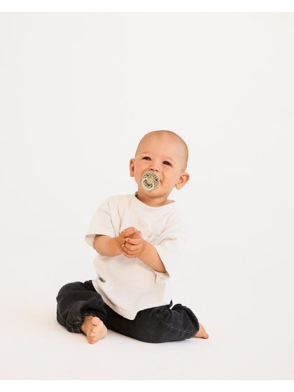 ❤ Соска пустушка BIBS 2 PACK Studio Size 1, 0-6 міс. Колір - Sage/Iron (#5713795276554) ✓ Anna Konvert 2