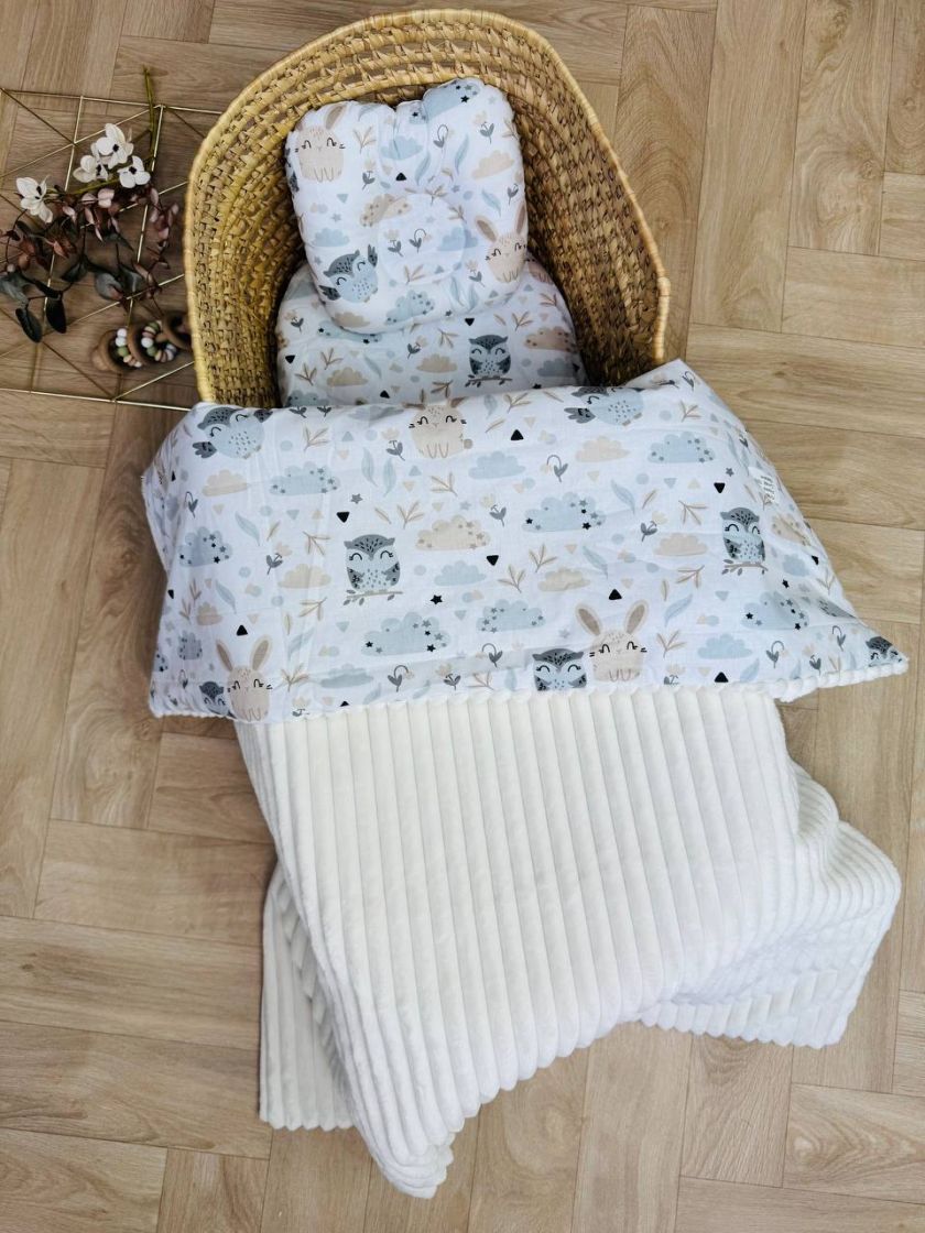 ❤ Набір у візочок, Плед без утеплення. Принт - Білий плюш шарпей, совушки. (#14272569) ✓ Anna Konvert