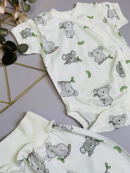 ❤ Комплект 2ка з боді з коротким рукавом, в рубчик. Принт - Коала на гілці. Розмір - 62-68р (#23411212) ✓ Anna Konvert 2