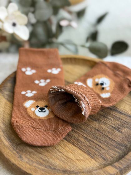 ❤ Шкарпетки "Ведмедики ", без утеплення. Принт - Шоколадний з лапками (#46298738) ✓ Anna Konvert 2