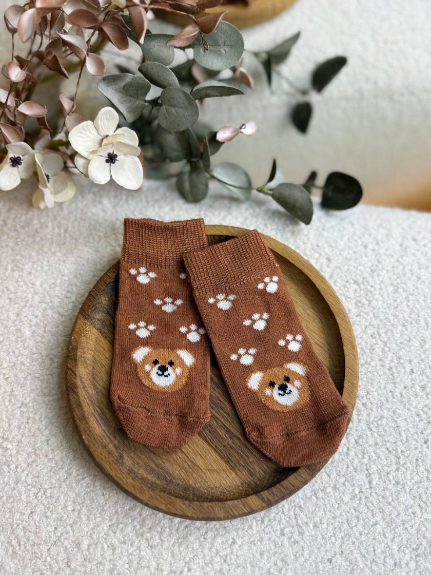 ❤ Шкарпетки "Ведмедики ", без утеплення. Принт - Шоколадний з лапками (#46298738) ✓ Anna Konvert