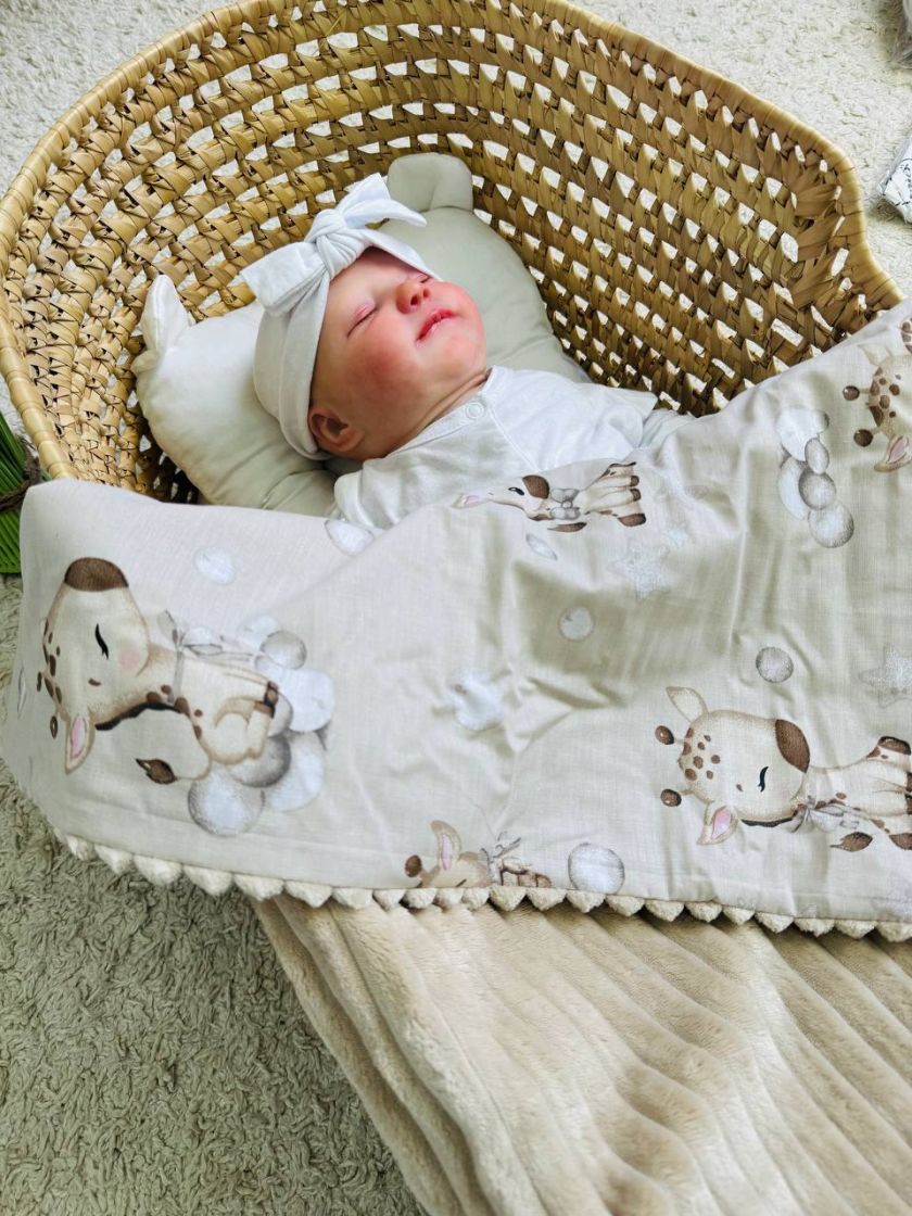 ❤ Плед в пологовий, мінкі плюш, без утеплювача, 100см на 80см. Колір, принт - Плюш смужка бежевий, жирафи беж (#65780707) ✓ Anna