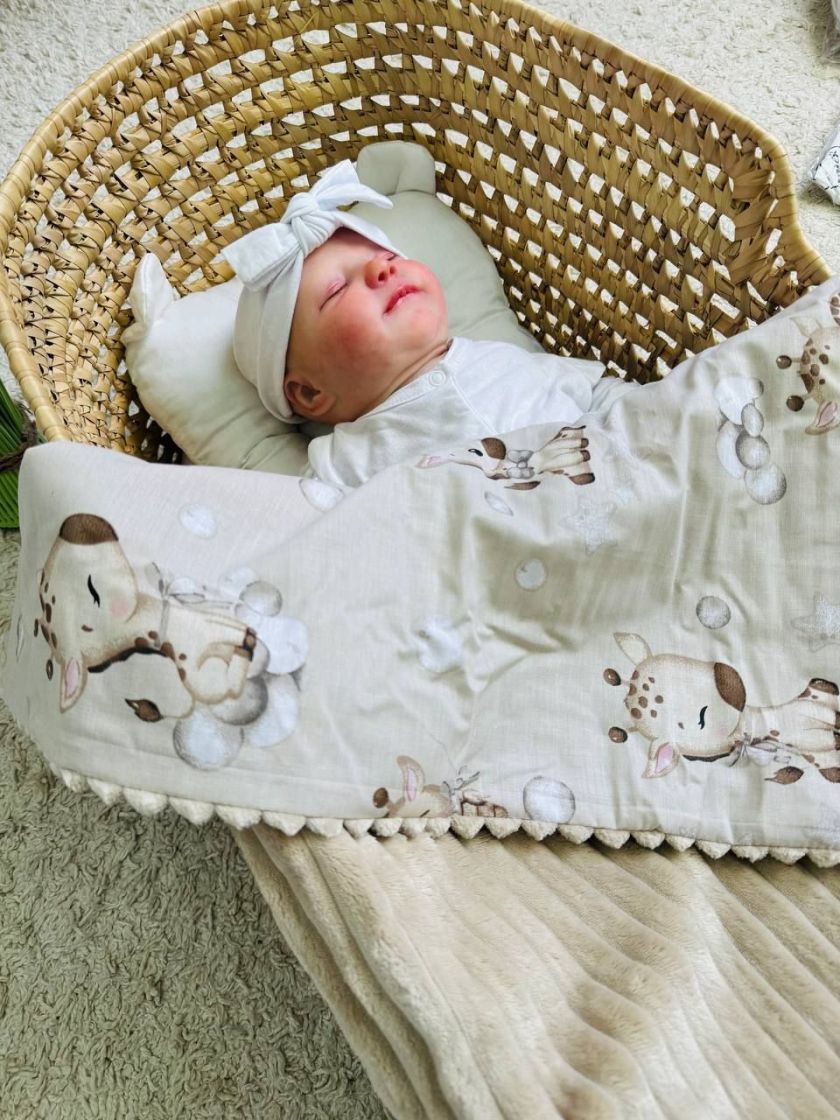 ❤ Плед в пологовий, мінкі плюш, без утеплювача, 100см на 80см. Колір, принт - Плюш смужка беж, жирафики (#85232546) ✓ Anna Konve